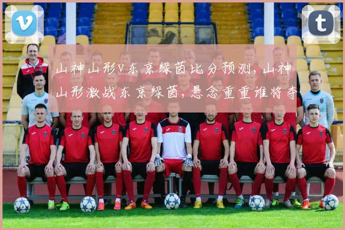 山神山形v东京绿茵比分预测,山神山形激战东京绿茵,悬念重重谁将夺冠