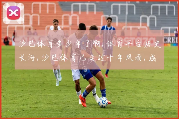 沙巴体育多少年了啊,体育平台历史长河,沙巴体育已走过十年风雨,成就非凡。